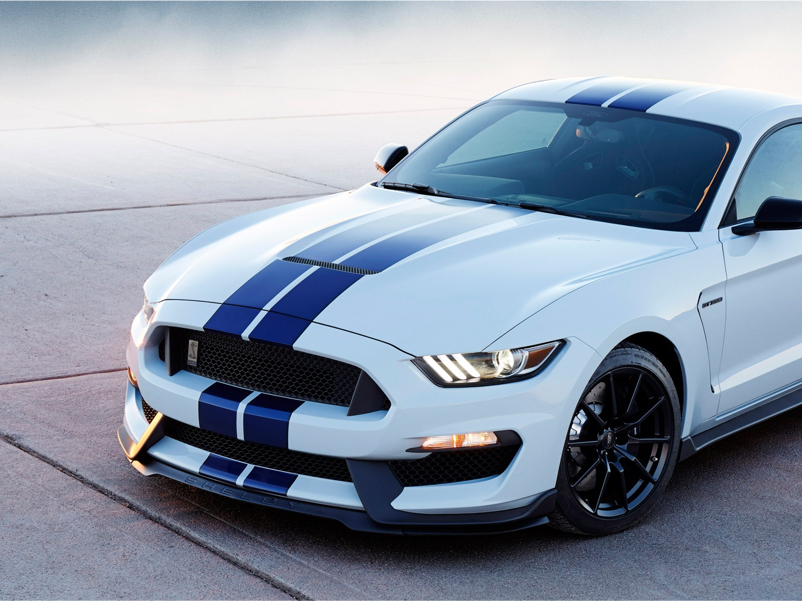 view of the front of a white mustang with two blue stripes in the middle